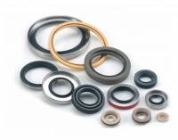PTFE -Wellendichtringe